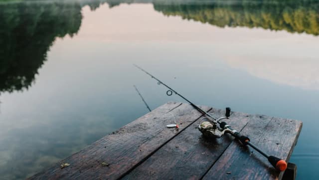 Jaką wędkę teleskopową na spławik wybrać, aby nie żałować? Jaką wędkę teleskopową na spławik wybrać, aby nie żałować?
