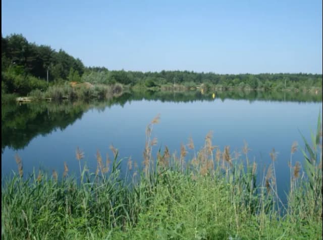 Łowisko Okoń w Janówku Pierwszym - Idealne miejsce na wędkowanie Łowisko Okoń w Janówku Pierwszym - Idealne miejsce na wędkowanie