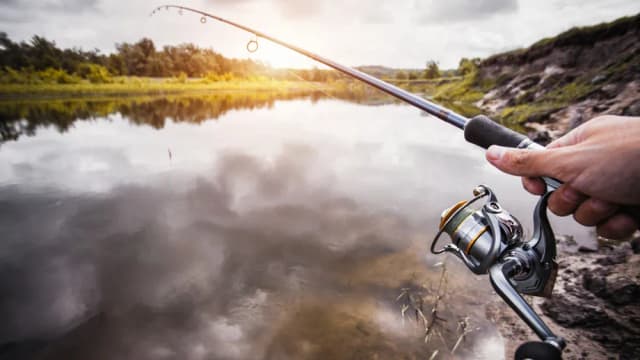 Jaka wędka na spławik? Wybierz najlepszą wędkę dla siebie i uniknij błędów Jaka wędka na spławik? Wybierz najlepszą wędkę dla siebie i uniknij błędów