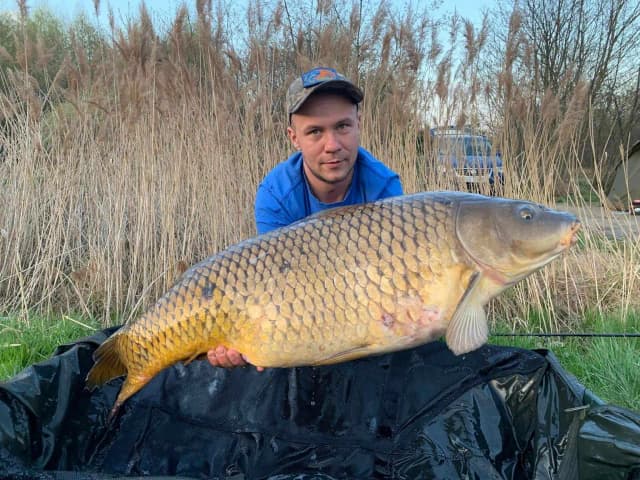 Łowisko pod lasem Rybnik - idealne miejsce na wędkarską przygodę Łowisko pod lasem Rybnik - idealne miejsce na wędkarską przygodę