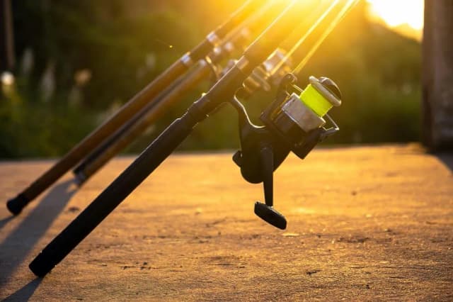 Jaka długość wędki na spławik? Wybierz idealną długość dla siebie Jaka długość wędki na spławik? Wybierz idealną długość dla siebie