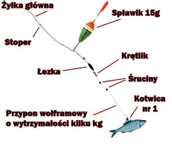 Jak przygotować wędkę na grunt, aby złowić więcej ryb? Jak przygotować wędkę na grunt, aby złowić więcej ryb?