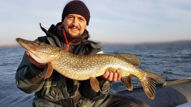 Do kiedy trzeba opłacić kartę wędkarską, aby uniknąć kar? Do kiedy trzeba opłacić kartę wędkarską, aby uniknąć kar?